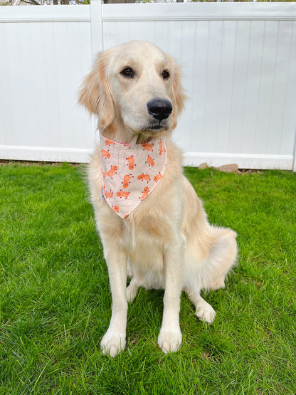 Peanut Butter And Dancing Peanut Bandana