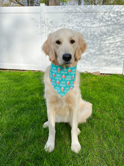 Just Chillin Ice Cream Bandana