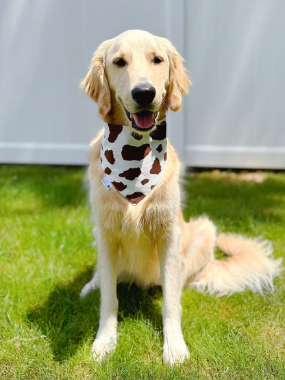 Boho Floral Cows Bandana