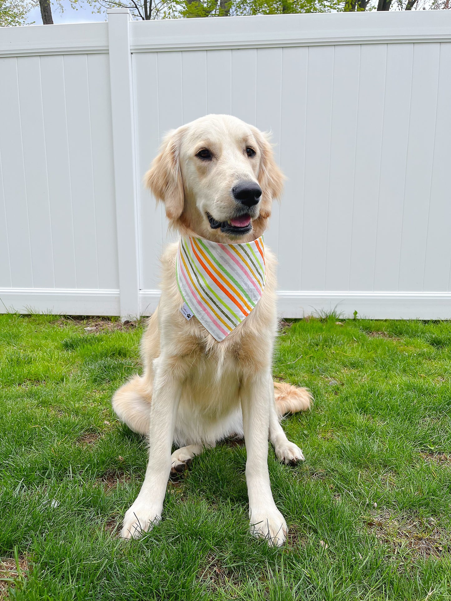 Watergun Splash Bandana