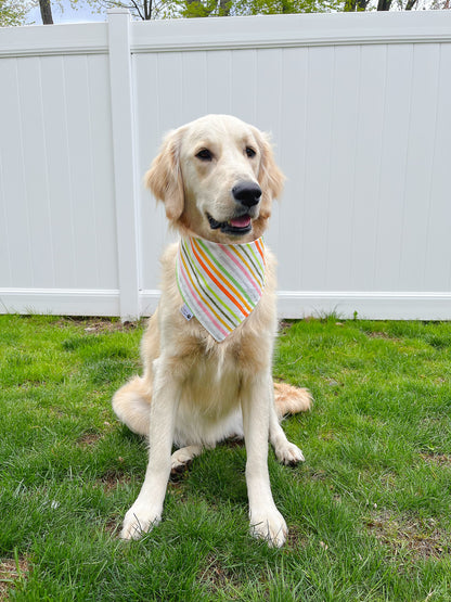 Watergun Splash Bandana