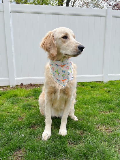 Watergun Splash Bandana