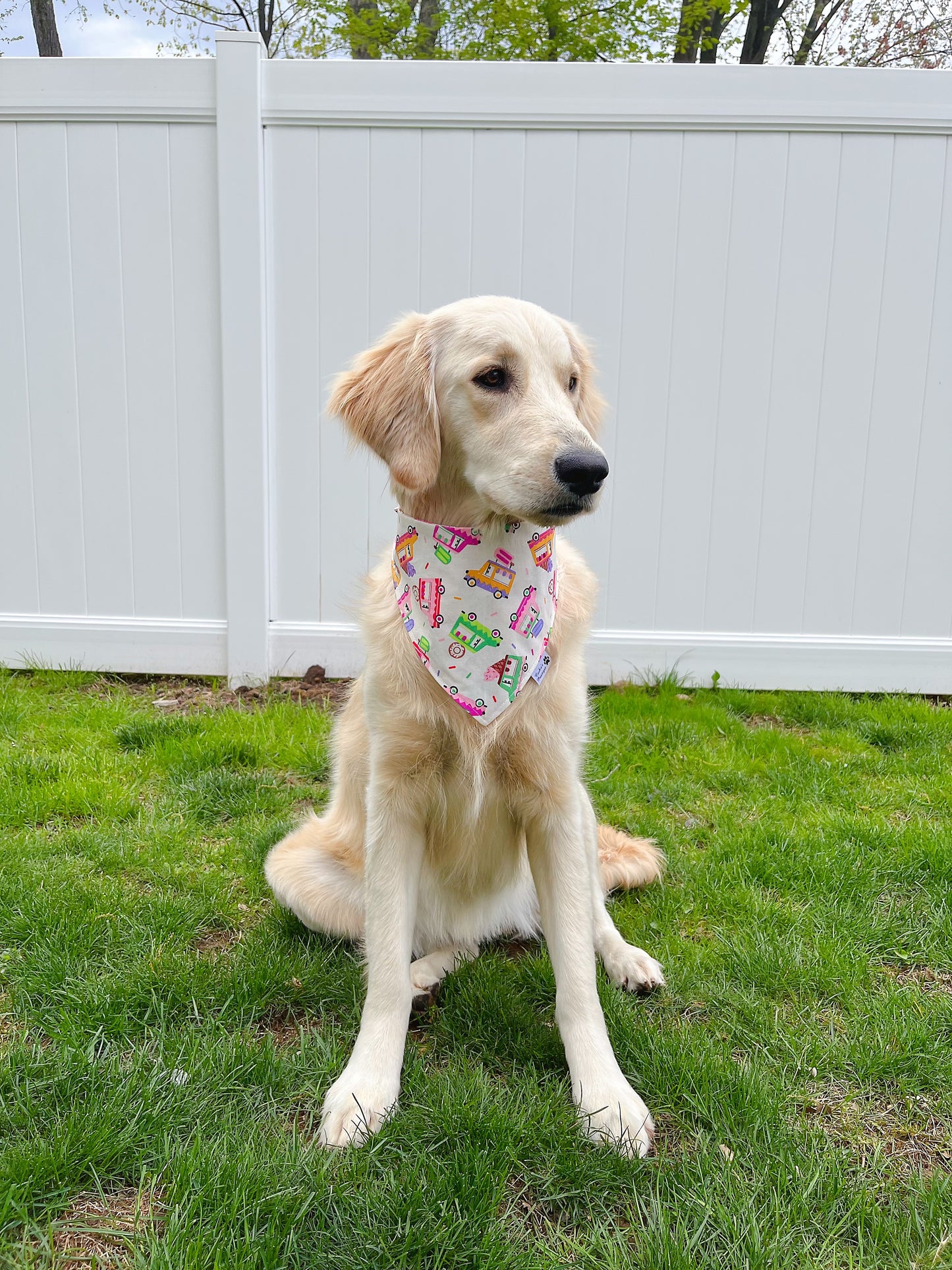 Food Truck And Donut Bandana