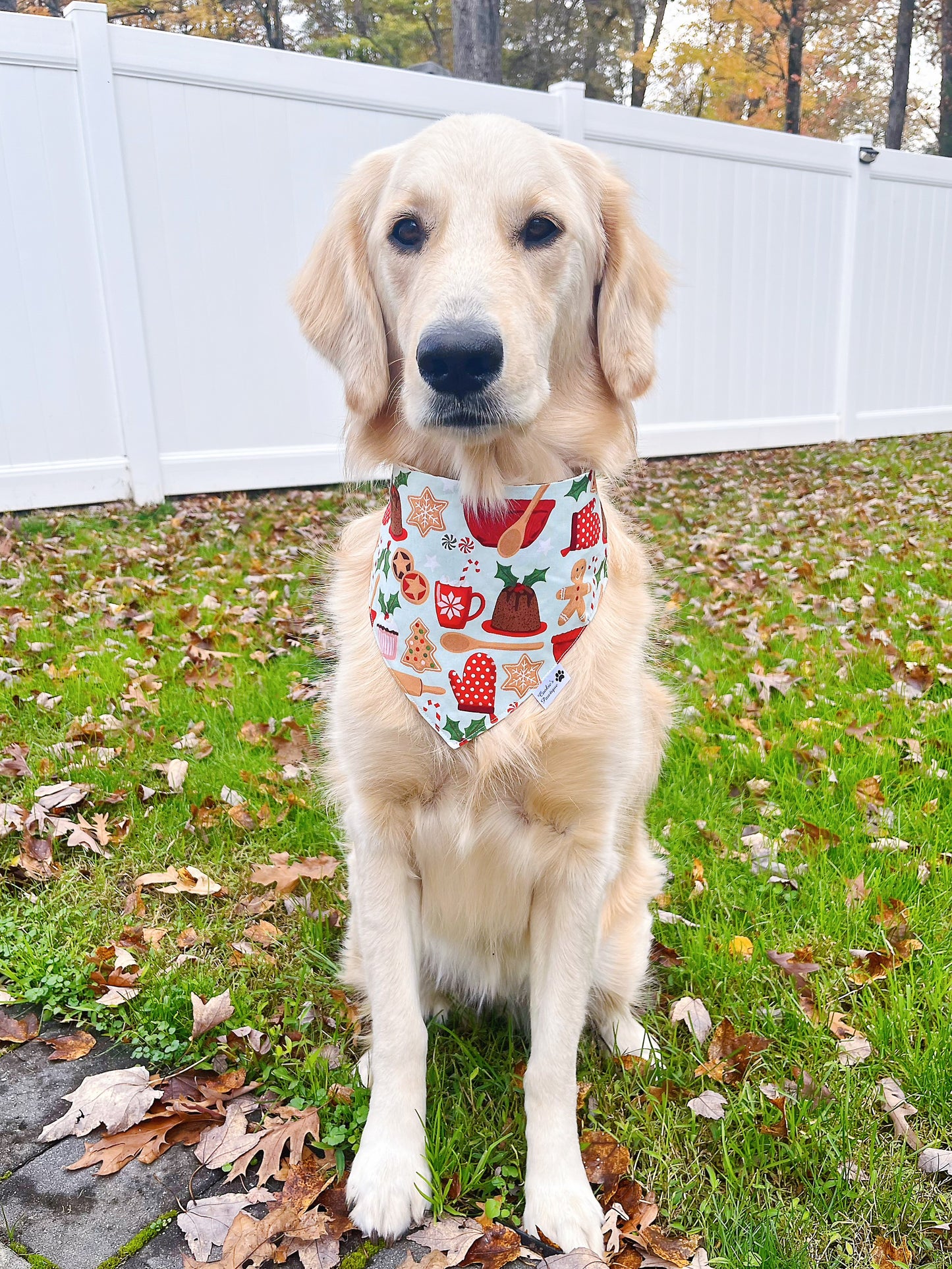 Baking Gingerbread Bandana