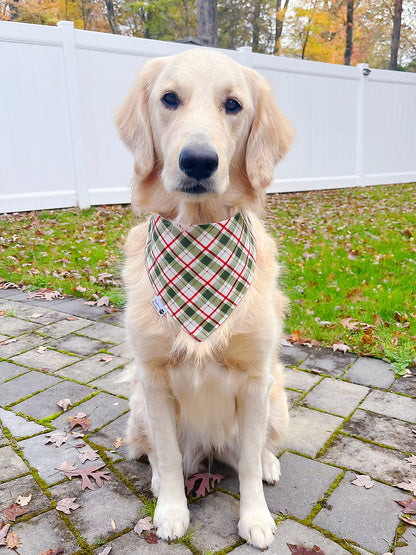 Baking Gingerbread Bandana