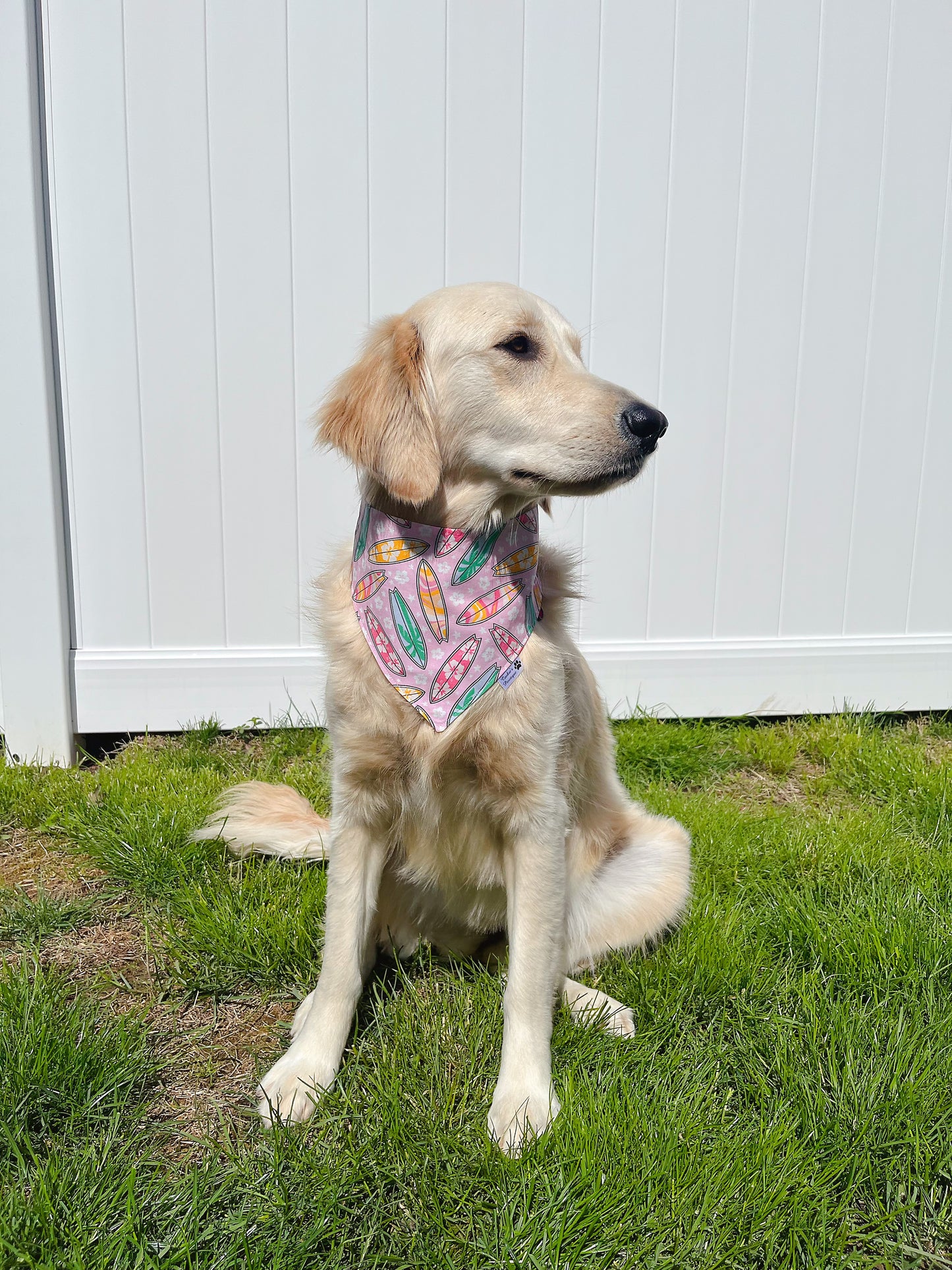 Summer Surfboard Bandana