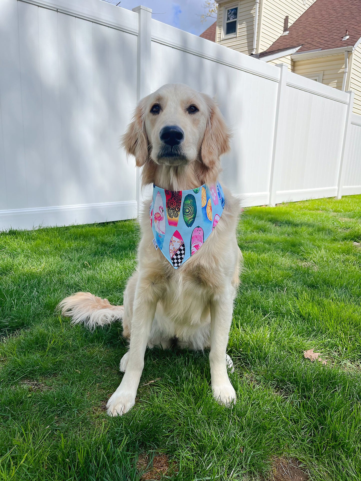 Summer Surfboard Bandana