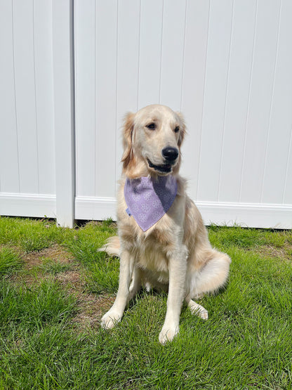 Floral Frappuccino And Cupcake Bandana
