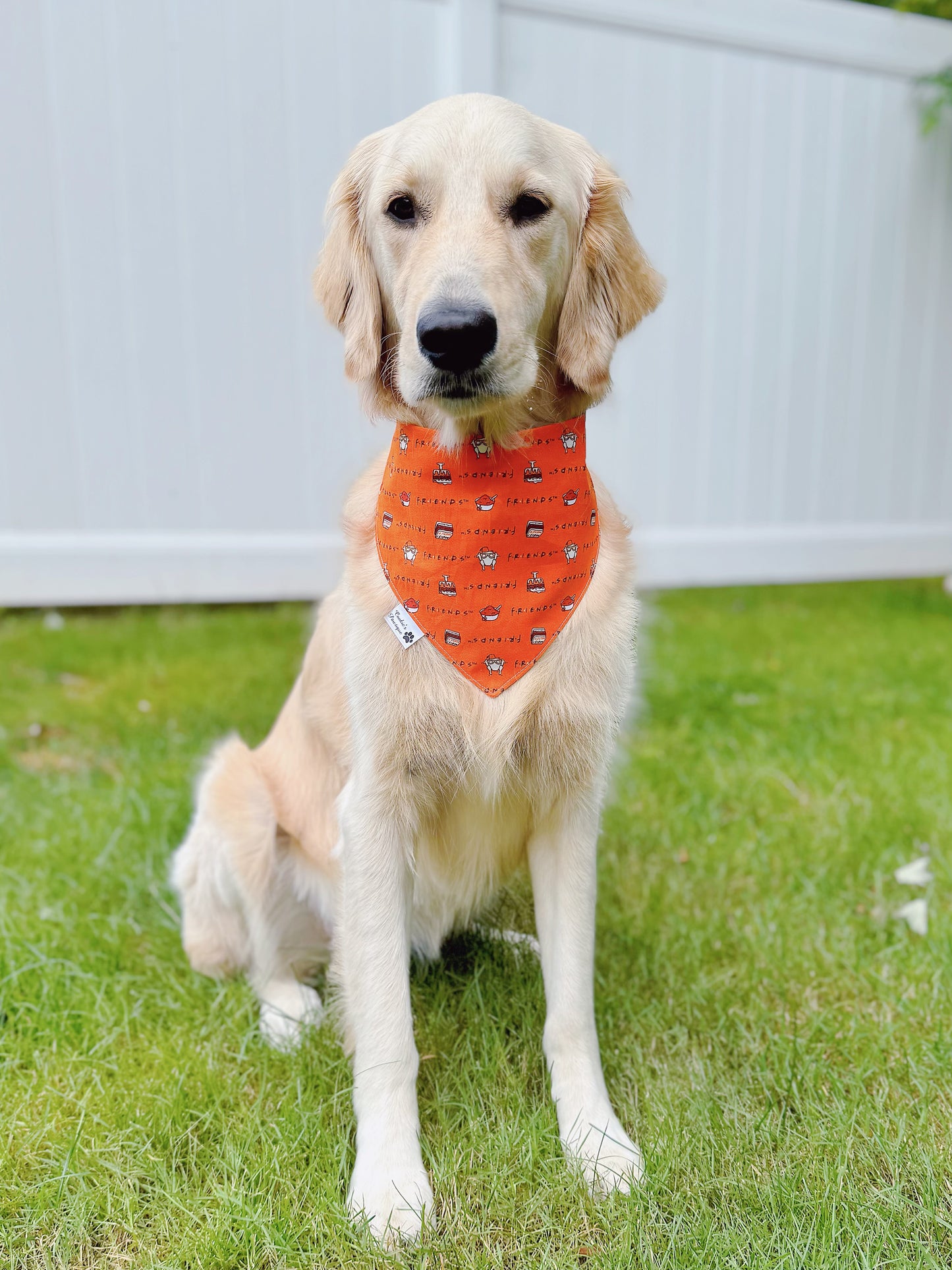 Friends Central Perk Bandana