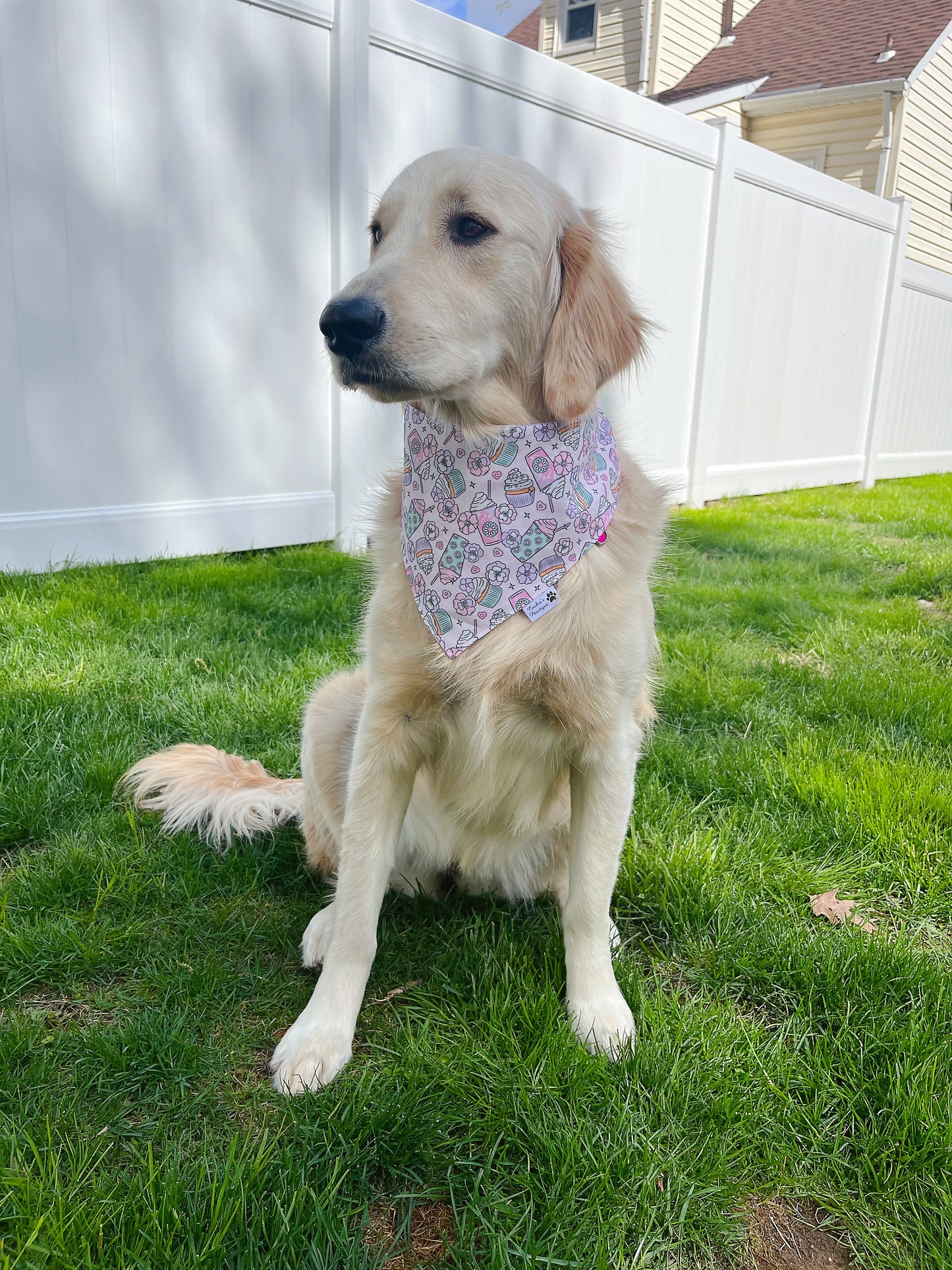 Floral Frappuccino And Cupcake Bandana