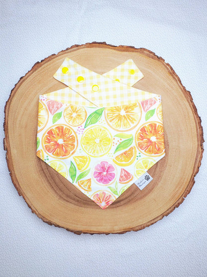 Watercolor Lemon Citrus Slices and Yellow Gingham Bandana
