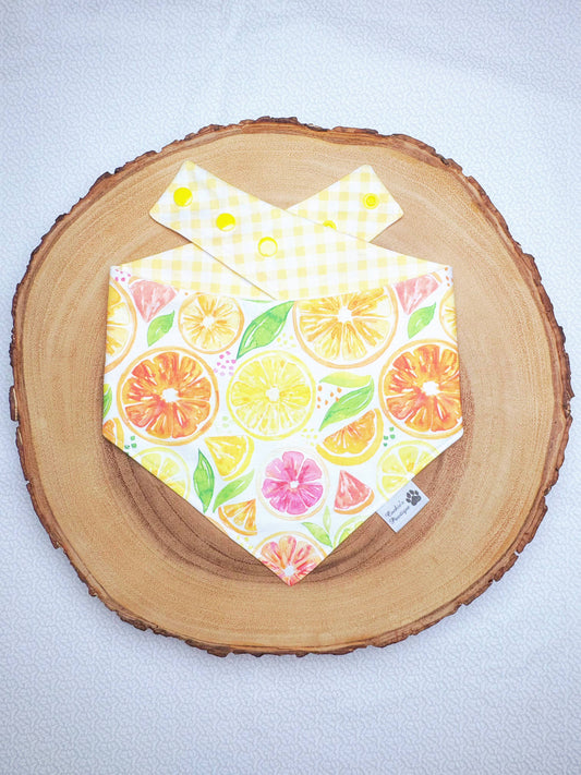 Watercolor Lemon Citrus Slices and Yellow Gingham Bandana