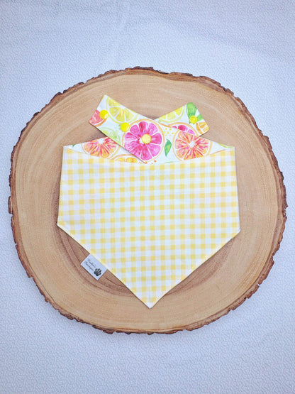 Watercolor Lemon Citrus Slices and Yellow Gingham Bandana