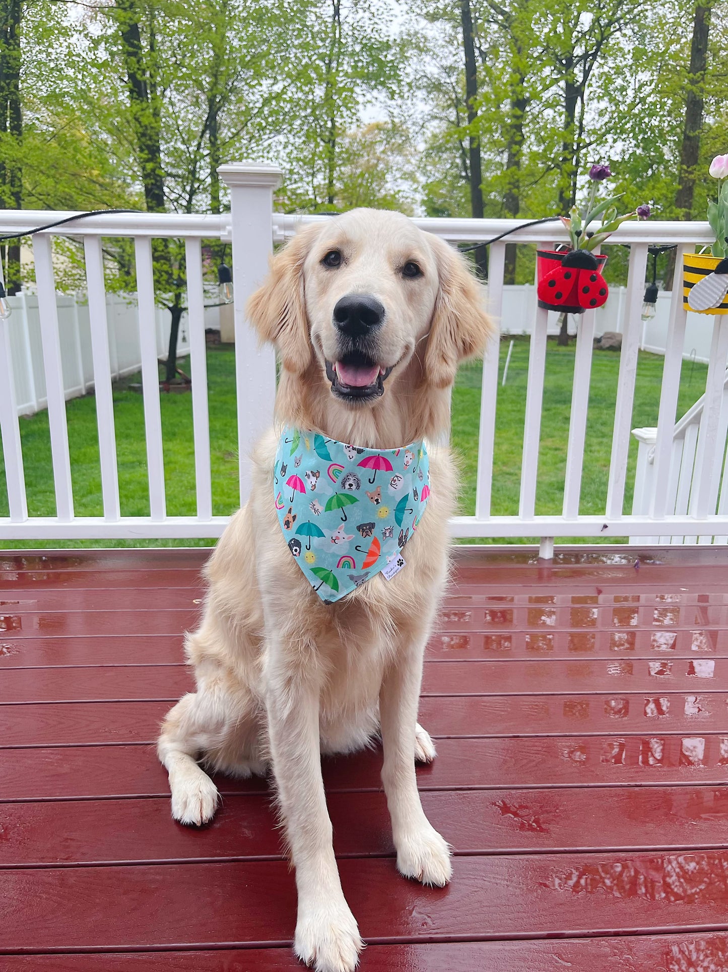 It Rains Cats And Dogs Bandana