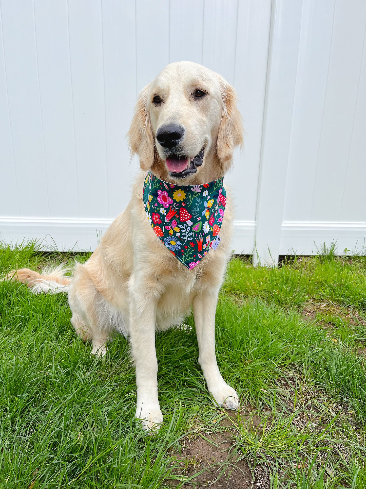 Mushroom Floral Bandana