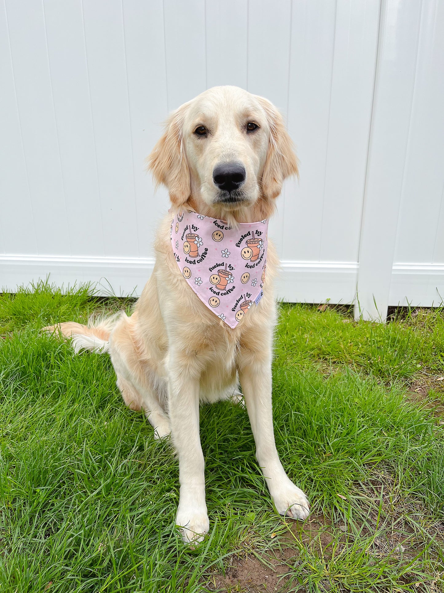 Fueled By Iced Coffee Bandana