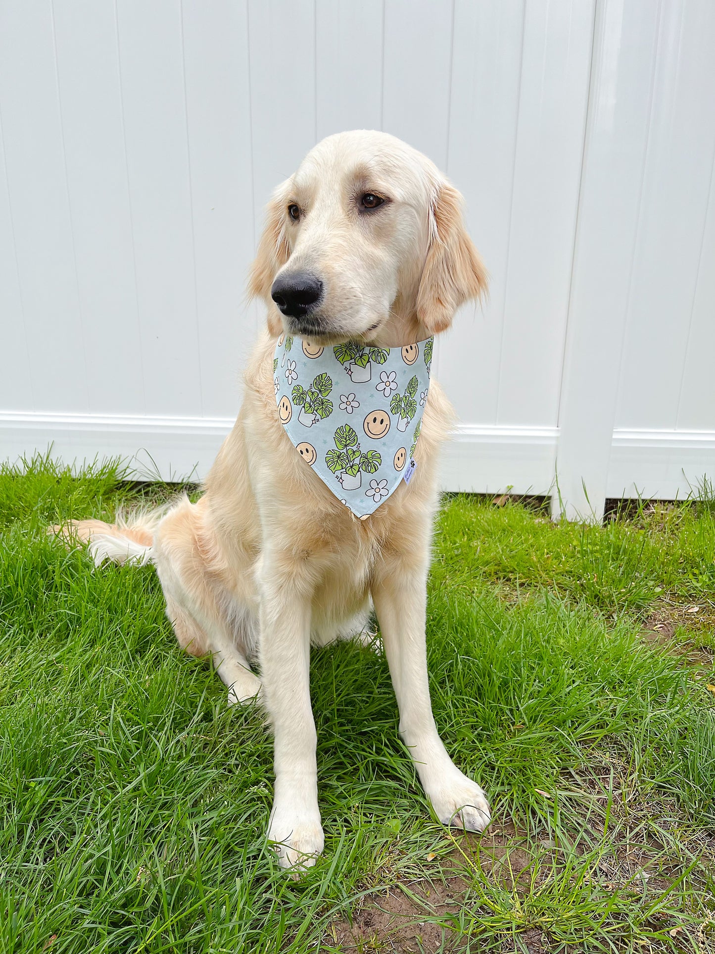 Monstera Plant And Little White Daisy Bandana