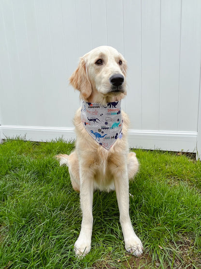 Super Dino Bandana