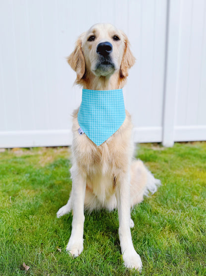 Looking Sharp Bandana