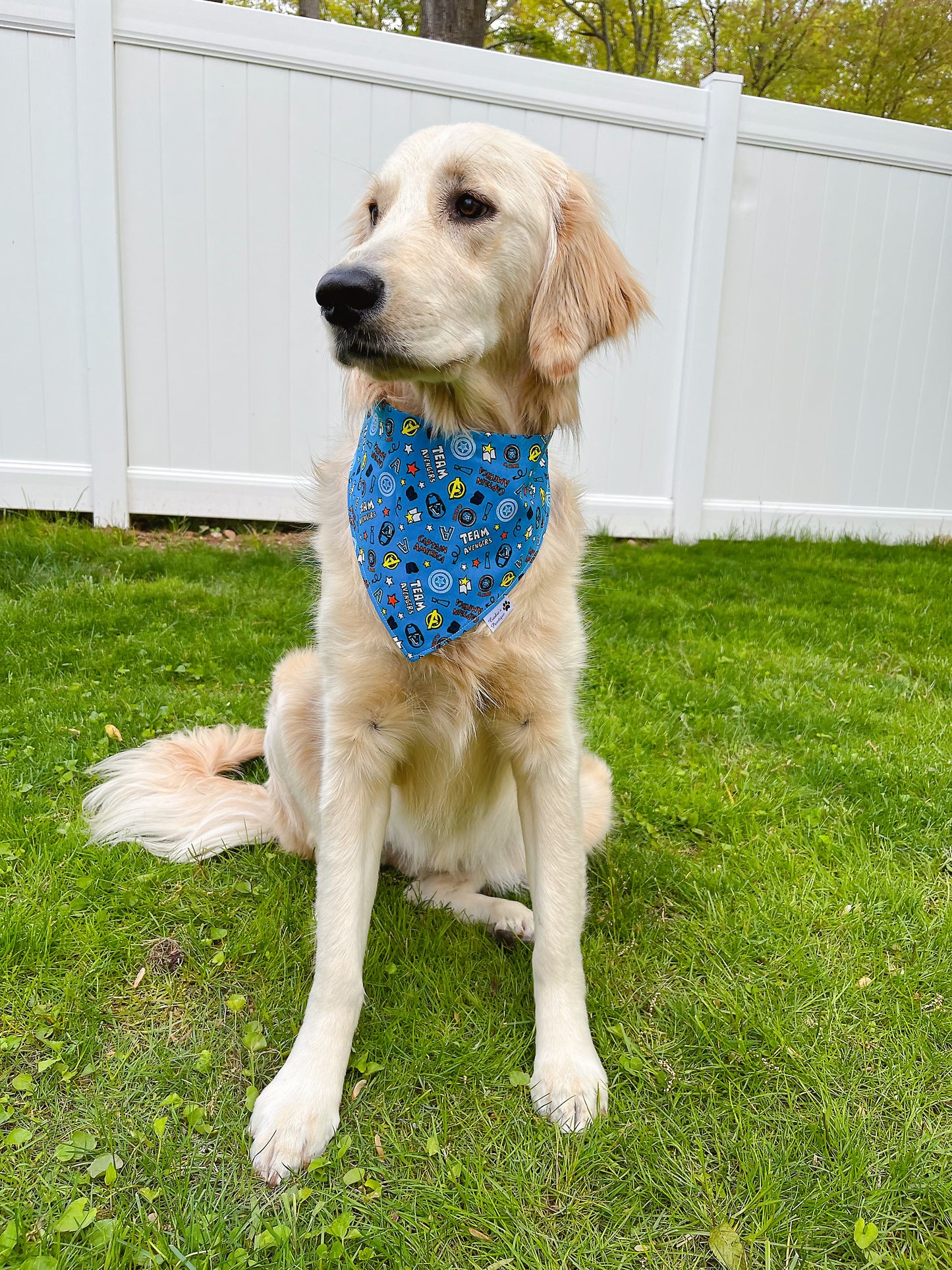 Captain America And Ironman Bandana