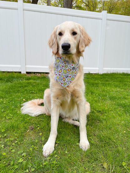 Captain America And Ironman Bandana