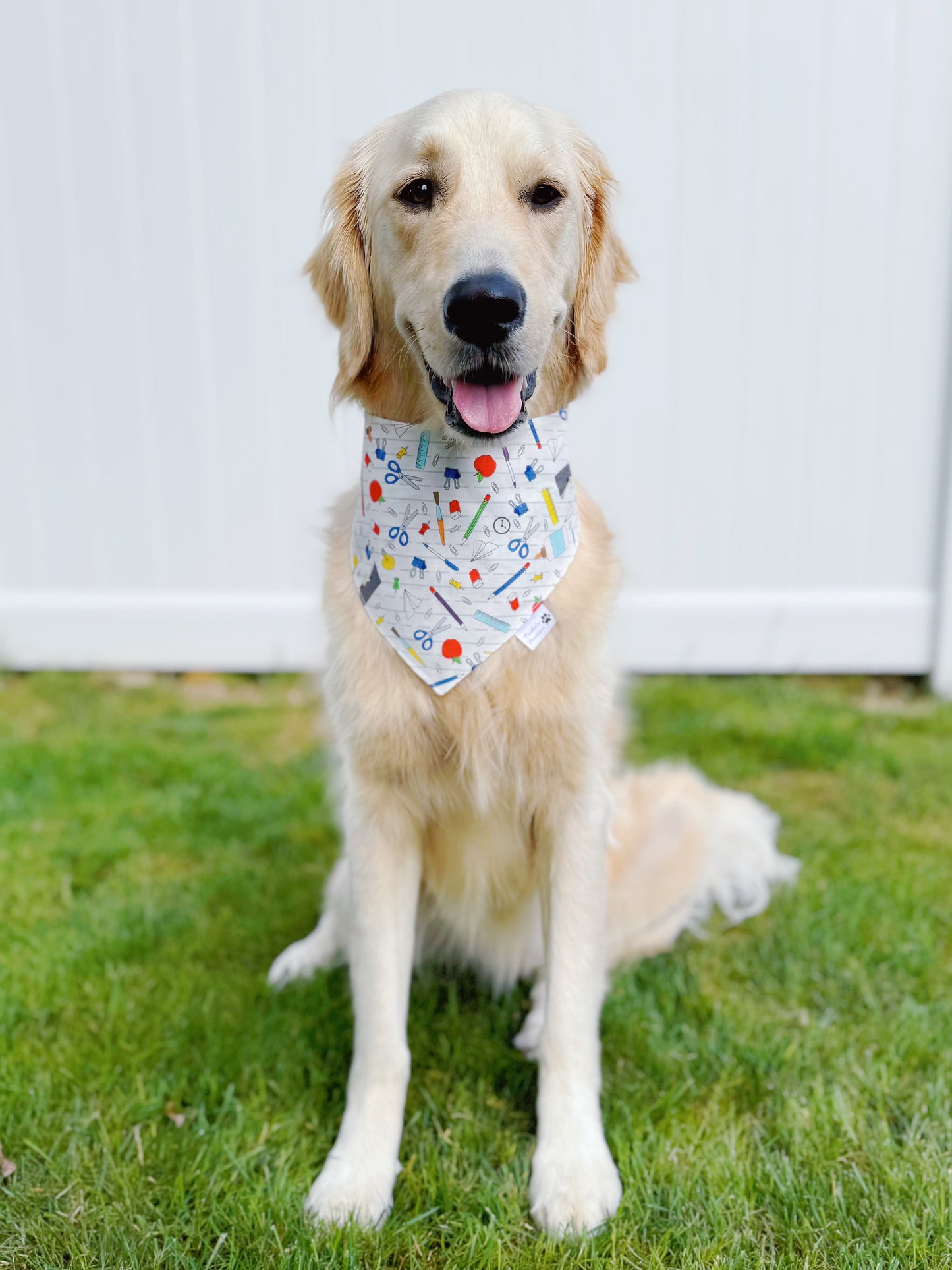 School Supplies Bandana