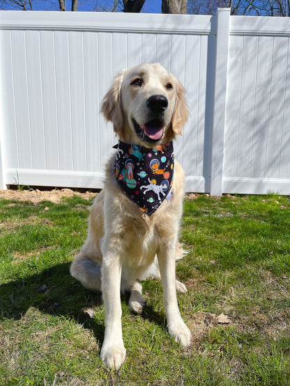 Space Tails And Rockets Bandana