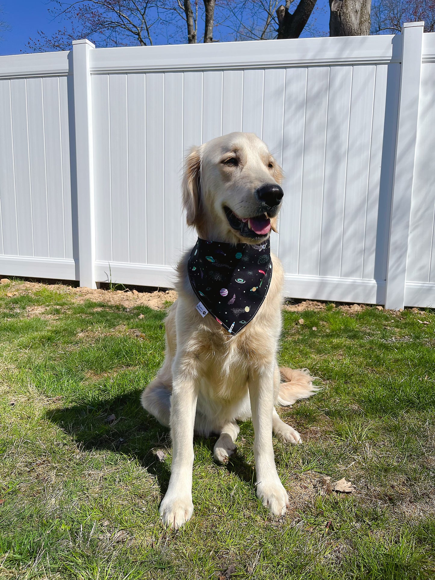 Space Tails And Rockets Bandana