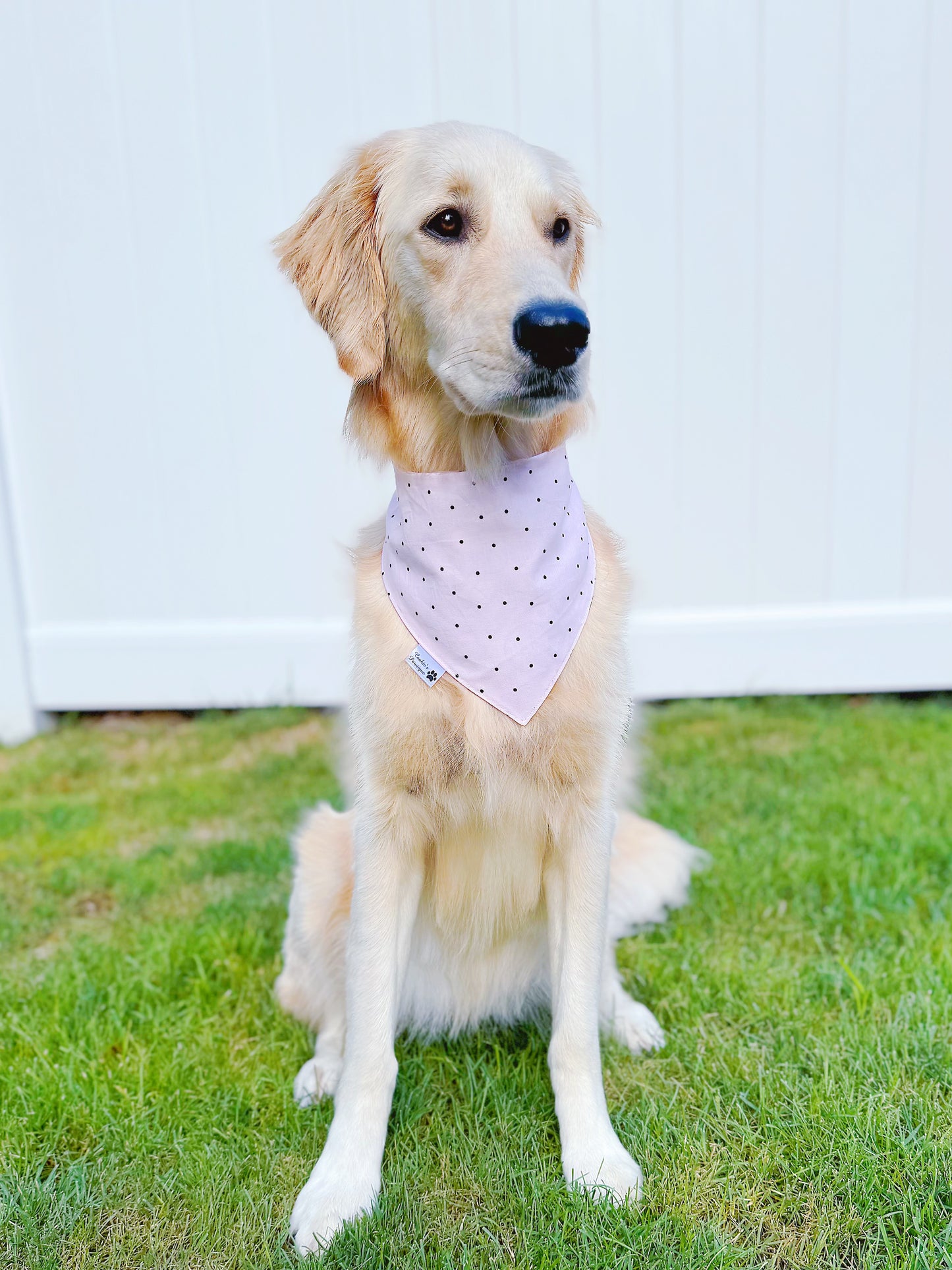 Pink Golf Bandana