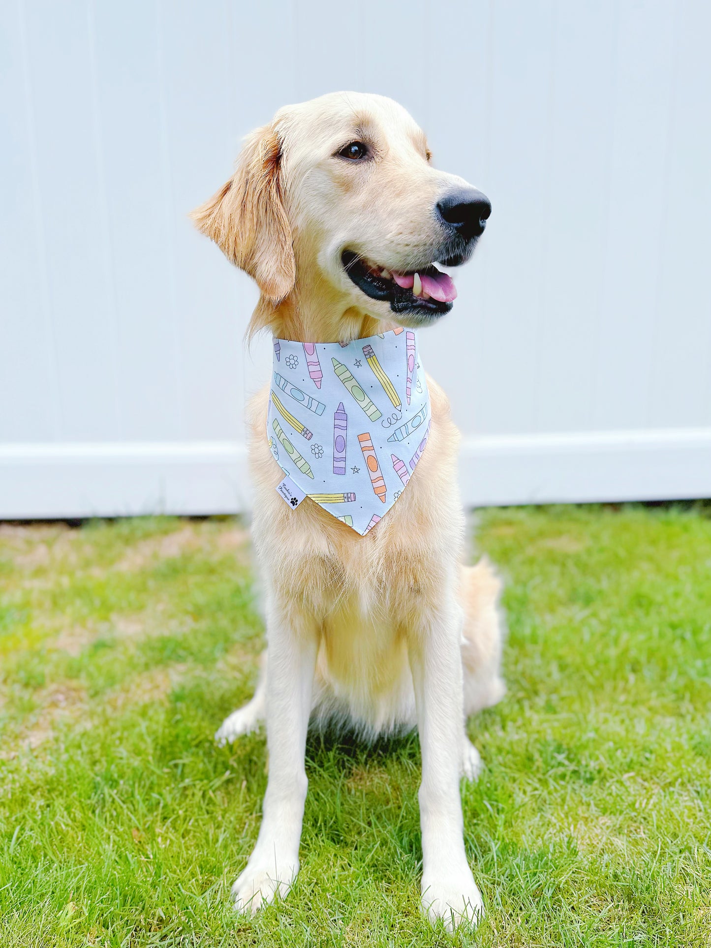 Retro Back To School Bandana