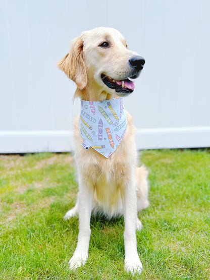 Retro Back To School Bandana