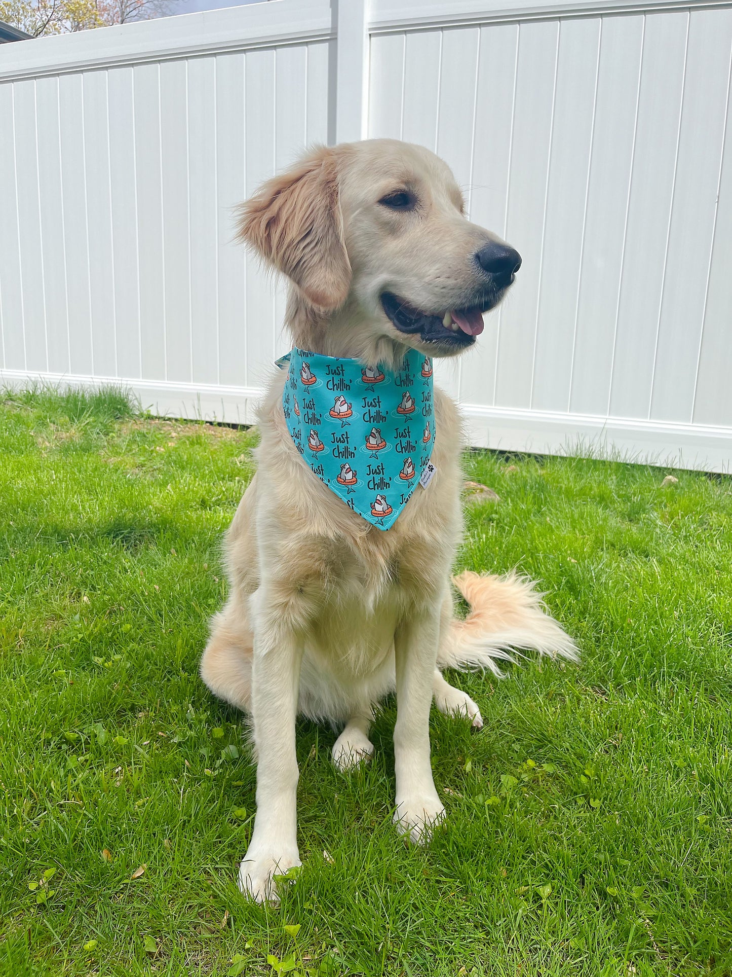 Just Chillin Pool Sharks Bandana - Ocean Blue