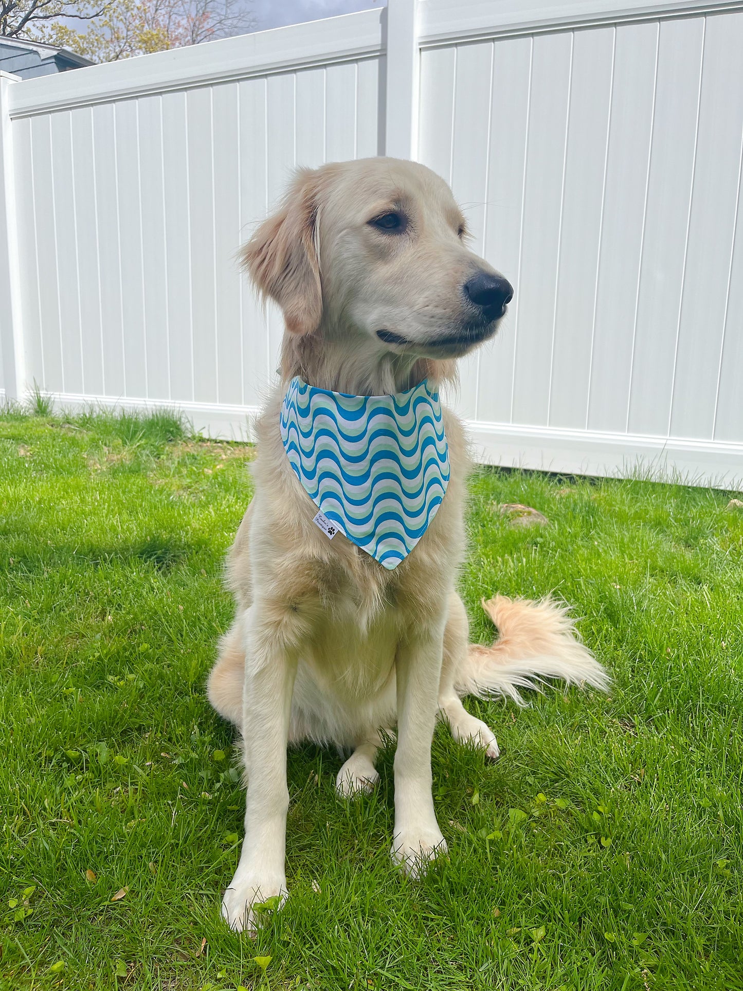 Just Chillin Pool Sharks Bandana - Ocean Blue