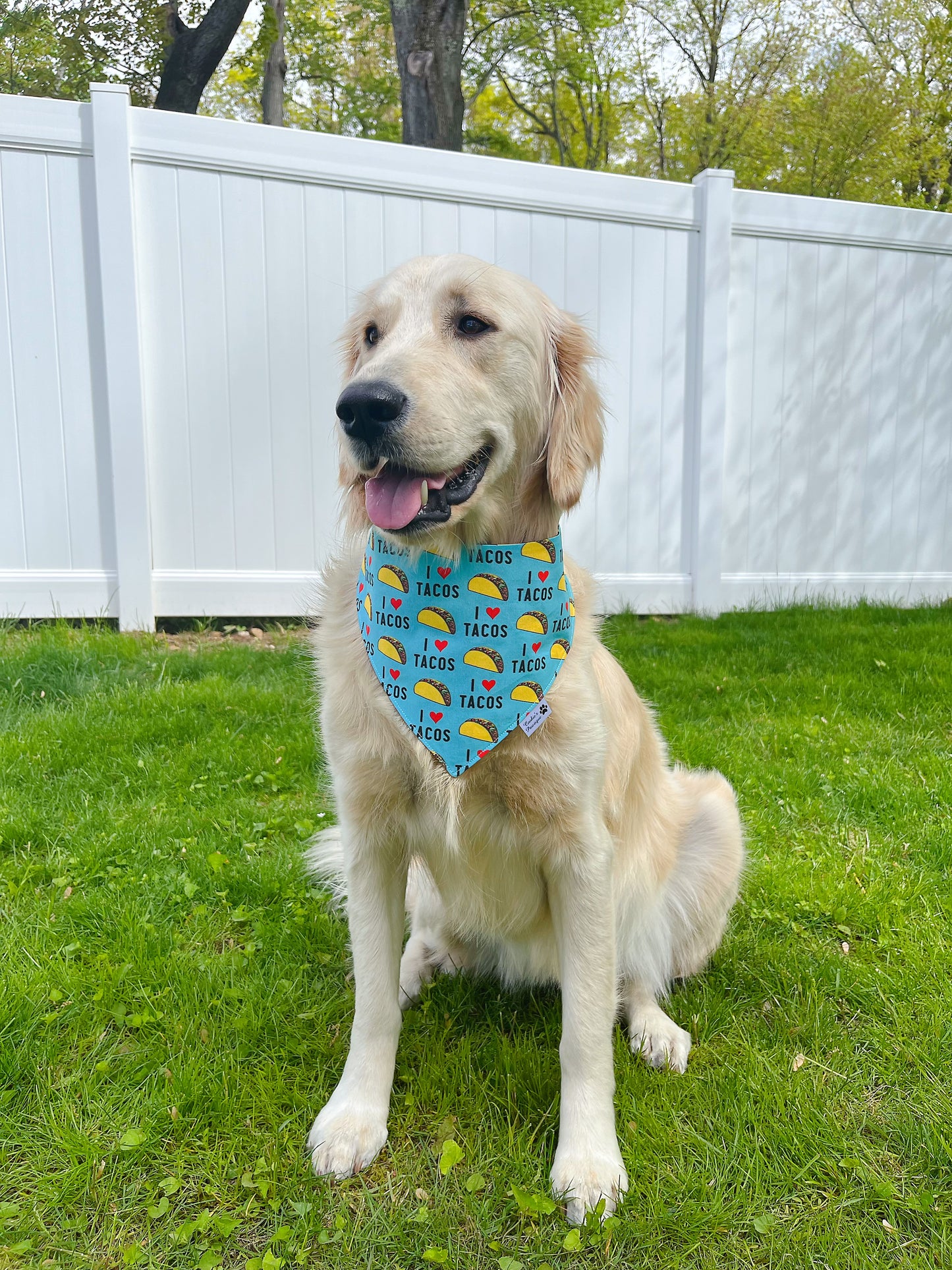 I Love Tacos Bandana