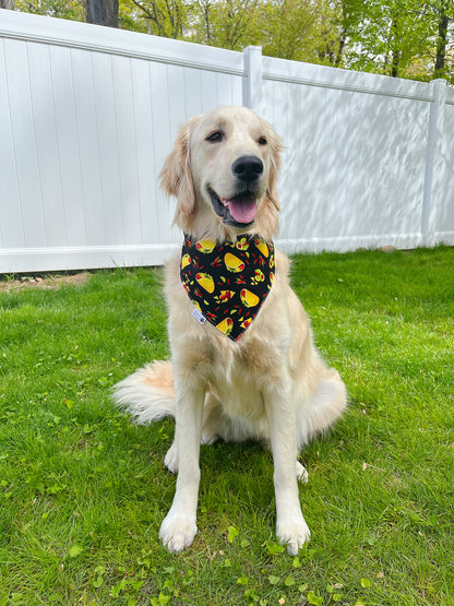 I Love Tacos Bandana