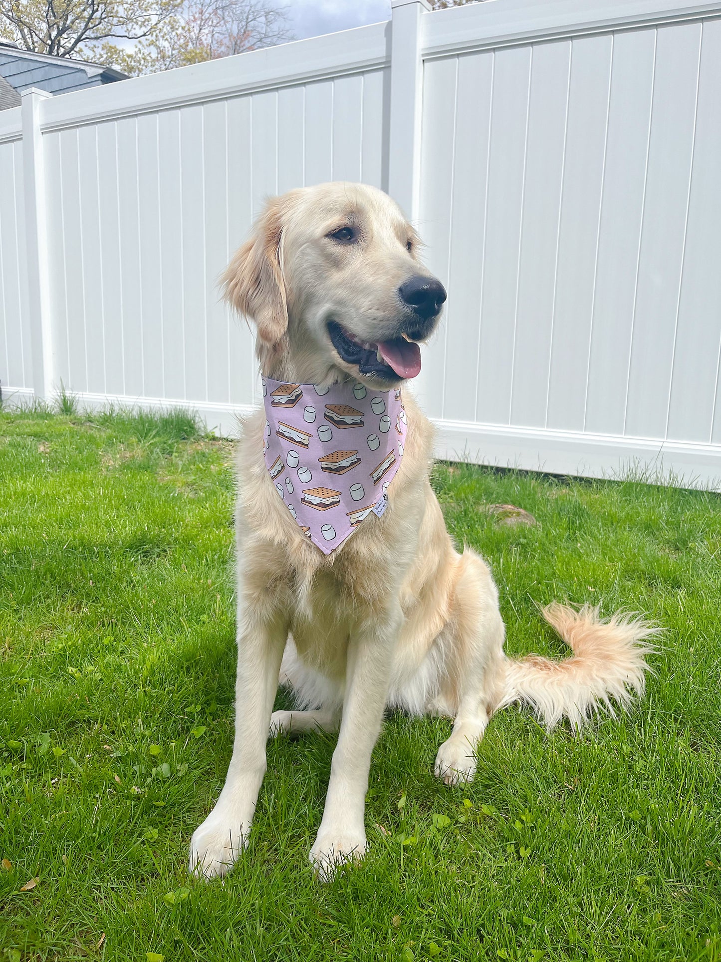 S'mores and Marshmallows Bandana