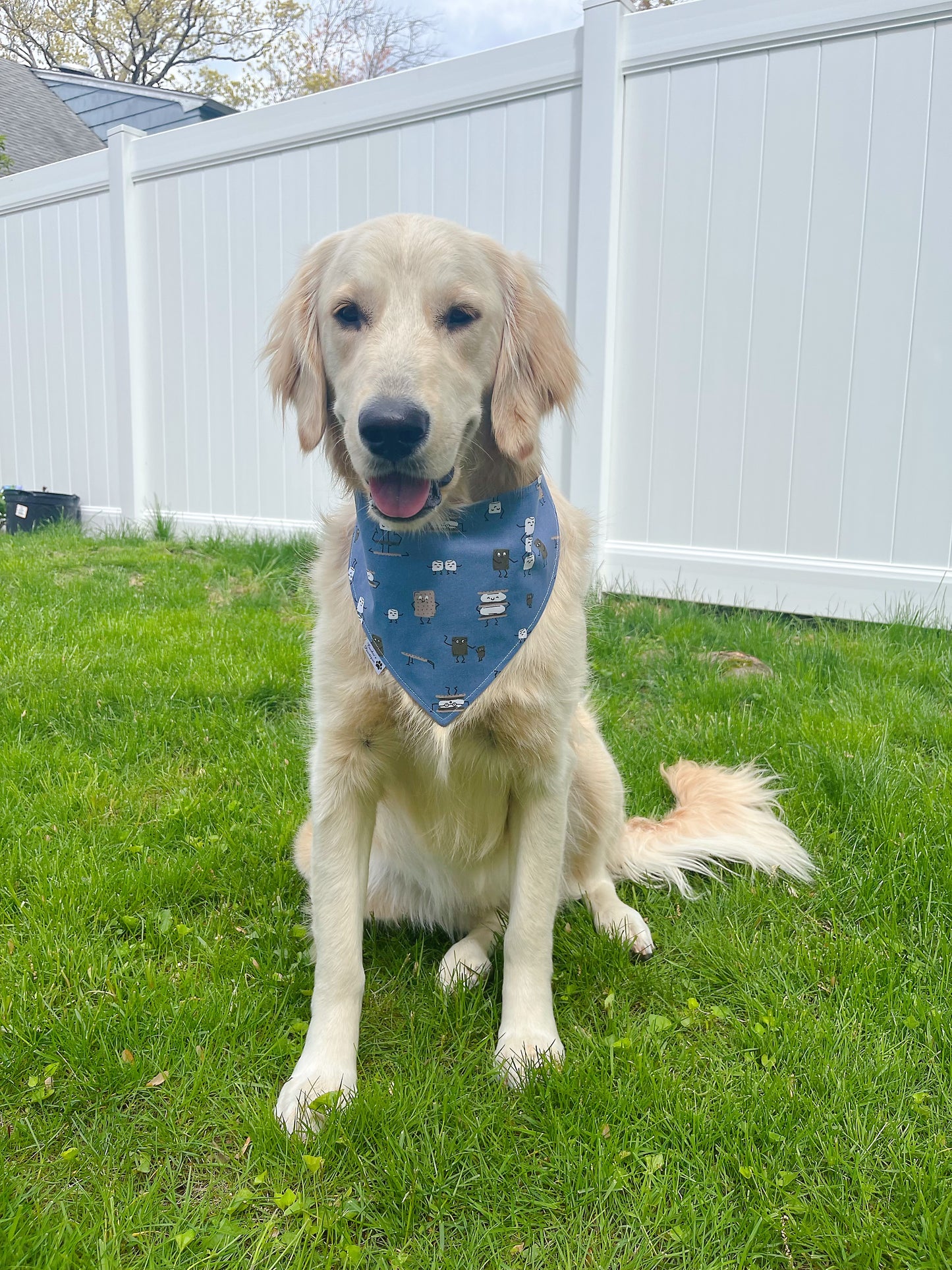 S'mores and Marshmallows Bandana