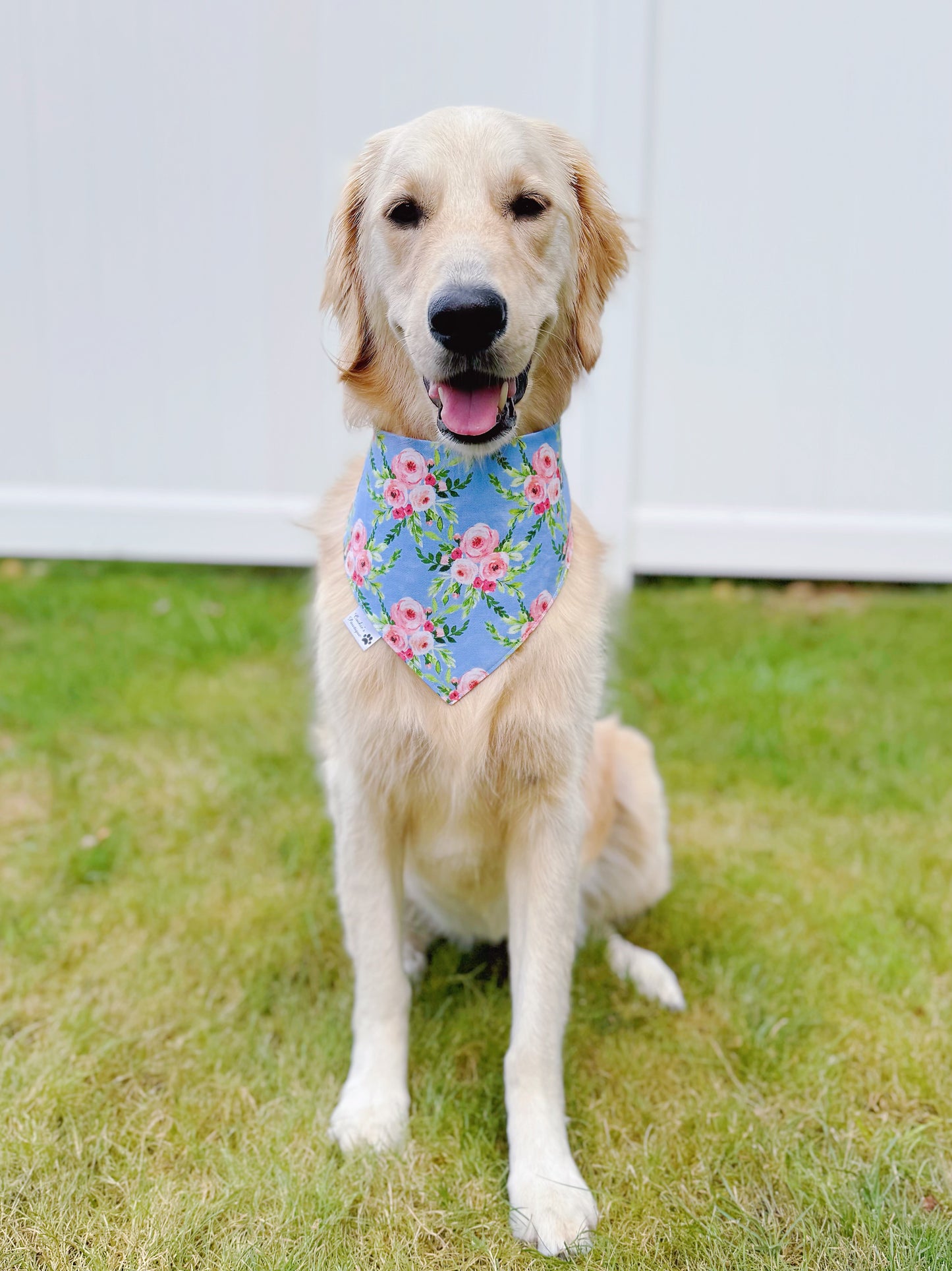 Teacups And Roses Bandana