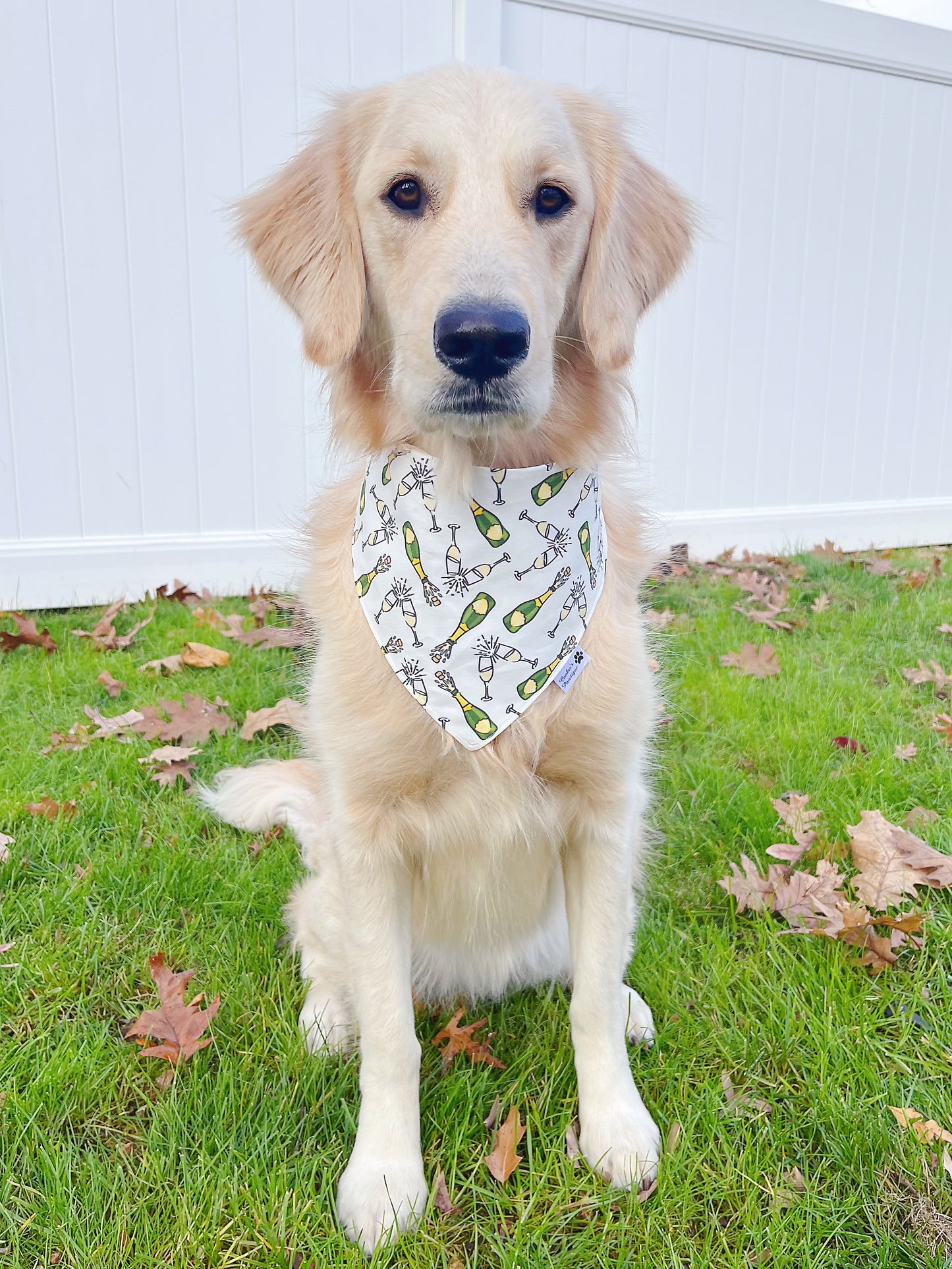 Champagne Toast Bandana