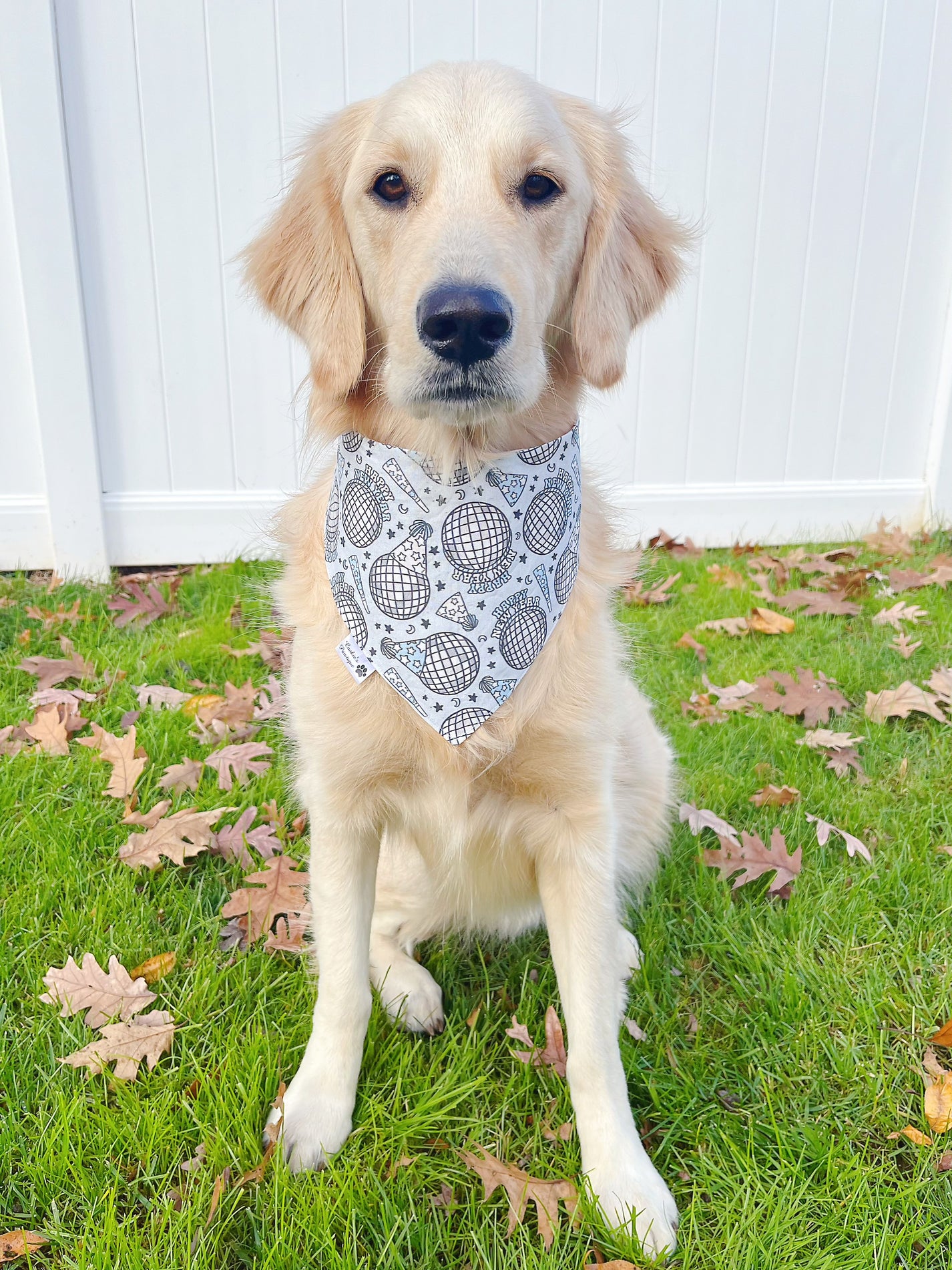 New Year's Eve And Disco Ball Bandana Cookie's Pawtique