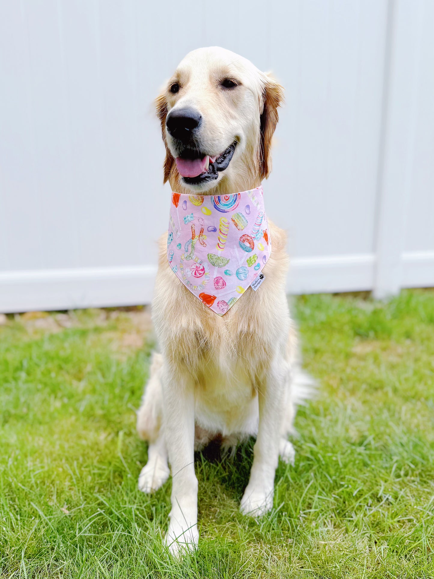 Sweet Candy Bandana