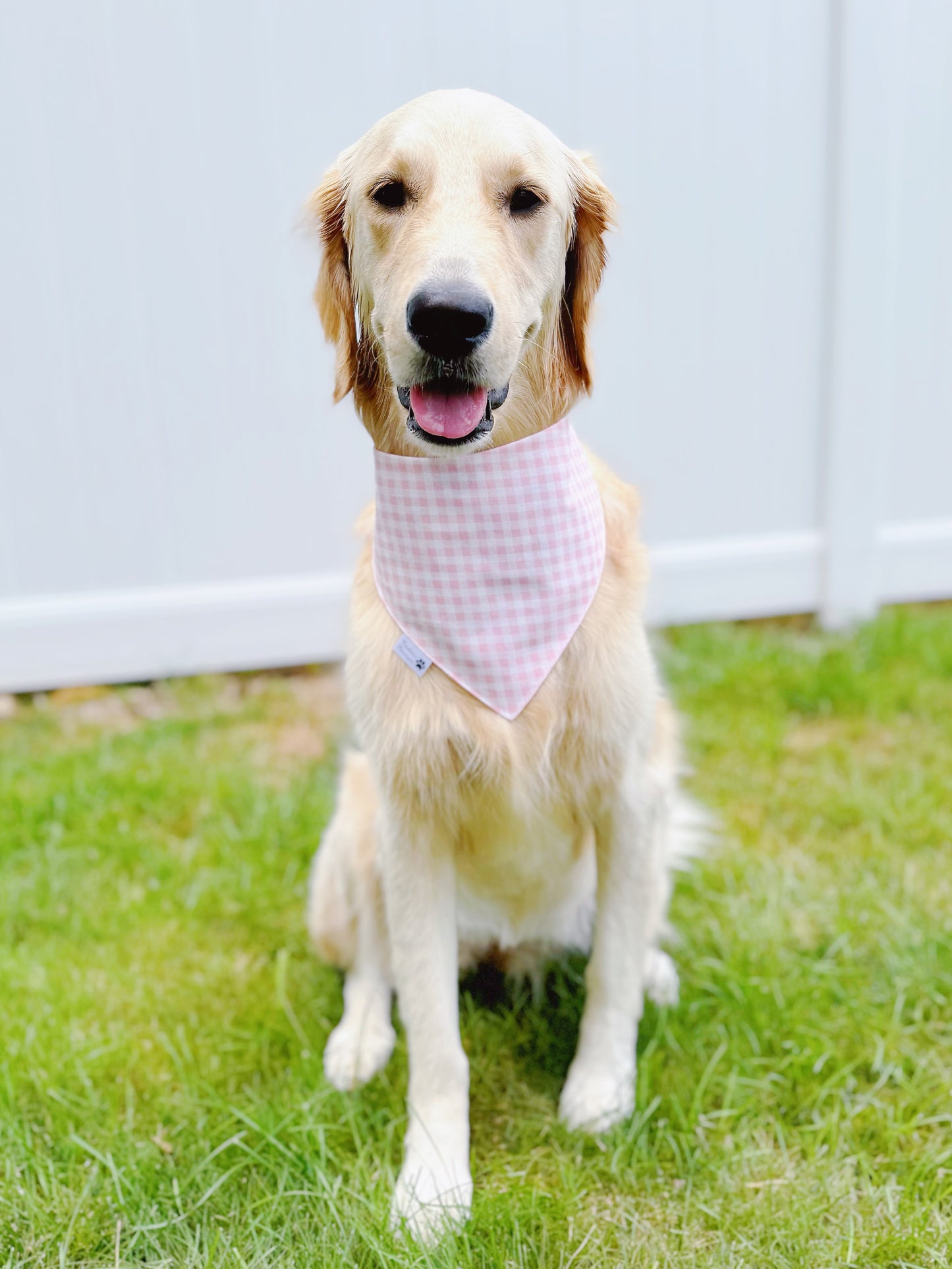 Sweet Candy Bandana