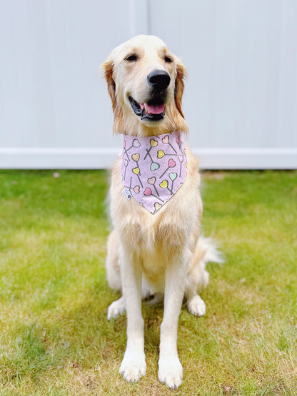 Lollipop Dream Bandana