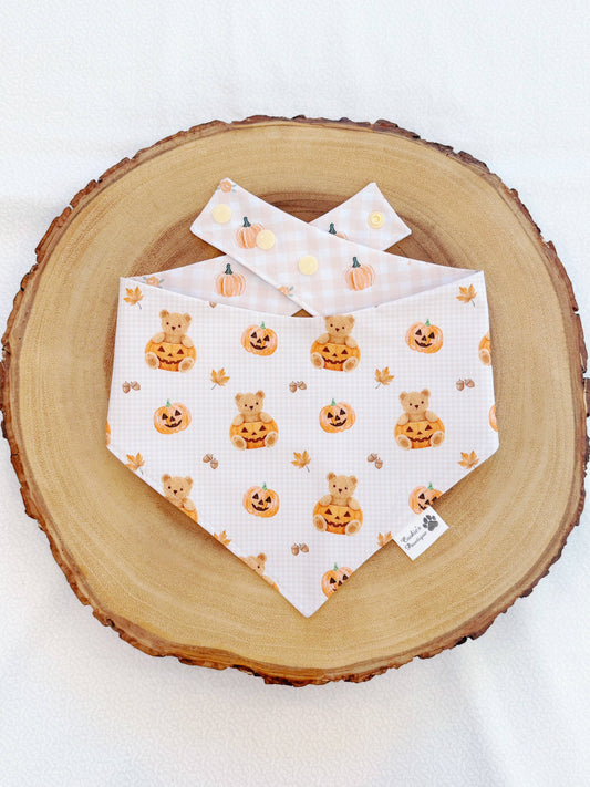 [Performance] Pumpkin Teddy Bear Bandana