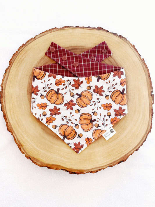 Pumpkins and Gingham Bandana