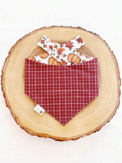 Pumpkins and Gingham Bandana