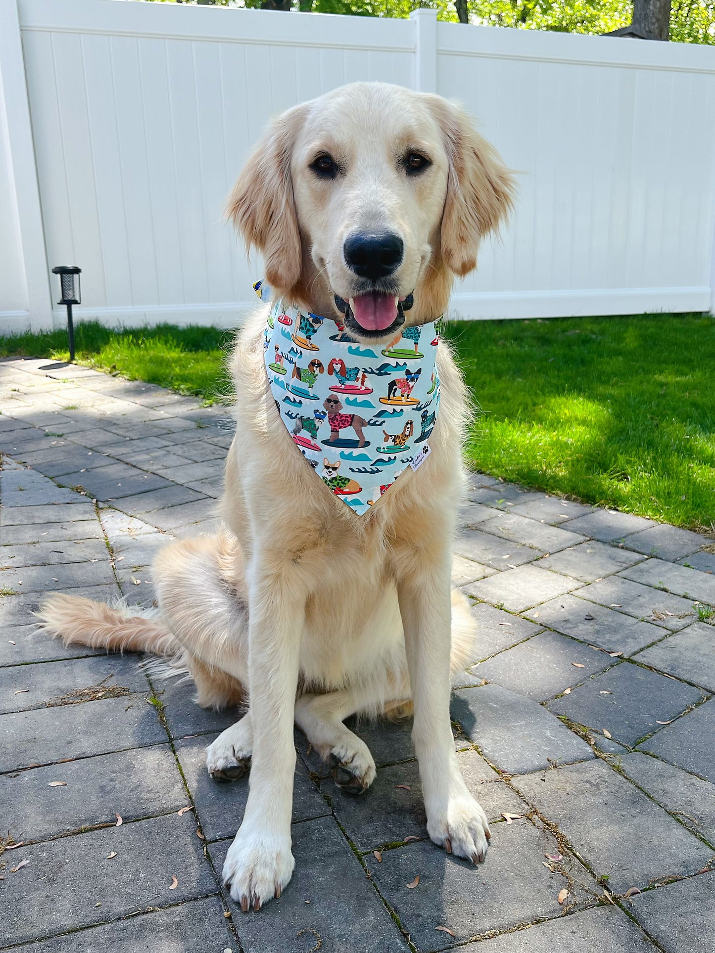 Surfing Dogs Beach Fun Bandana