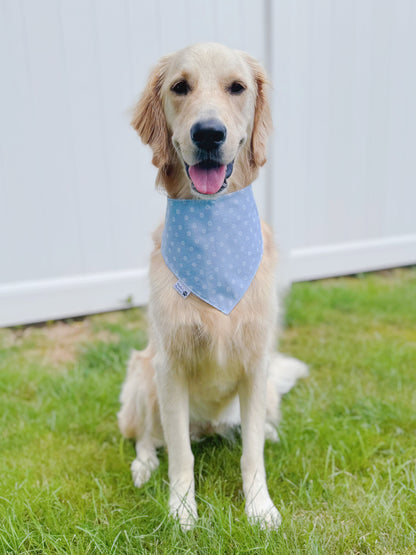 Pastel Blue Bandana