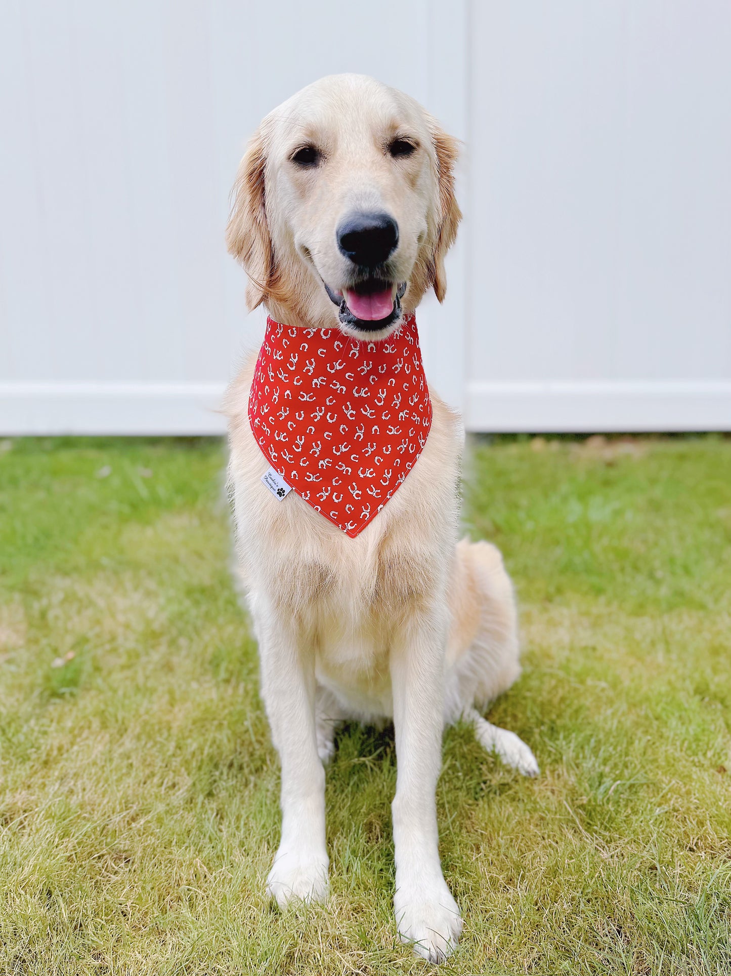 Western Boots And Horseshoes Bandana