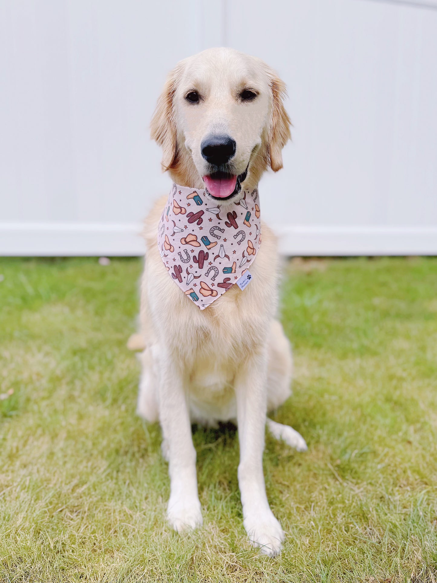 Western Rodeo Bandana